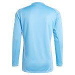 AVFC aston villa adidas goalkeeper shirt 2024-25 – long sleeve – 201964005 with custom printing Collection | Official Aston Villa Kits and Apparel