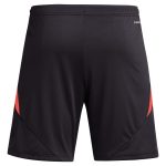 AVFC aston villa adidas goalkeeper shorts 2024-25 – 201964002 with custom printing Collection | Official Aston Villa Kits and Apparel