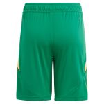 AVFC aston villa adidas goalkeeper shorts 2024-25 – 201964010 with custom printing Collection | Official Aston Villa Kits and Apparel