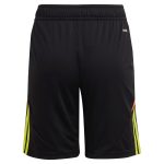 AVFC aston villa adidas goalkeeper shorts 2024-25 – kids – 201964004 with custom printing Collection | Official Aston Villa Kits and Apparel