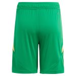 AVFC aston villa adidas goalkeeper shorts 2024-25 – kids – 201964012 with custom printing Collection | Official Aston Villa Kits and Apparel