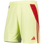 AVFC aston villa adidas goalkeeper shorts 2025-26 with custom printing Collection | Official Aston Villa Kits and Apparel