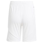 AVFC aston villa adidas home shorts 2024-25 with custom printing Collection | Official Aston Villa Kits and Apparel