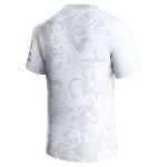 AVFC aston villa castore away shirt 2023-24 with custom printing Collection | Official Aston Villa Kits and Apparel